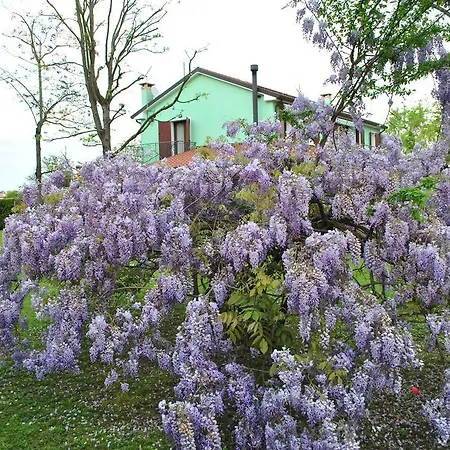 La Casa Verde Mo26o63ooo8 Preganziol